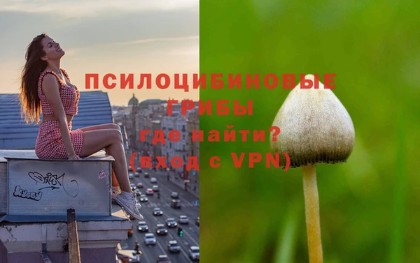 ALPHA PVP Абинск
