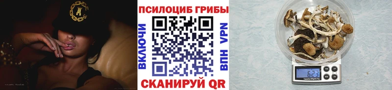 где продают   Елизаветинская  Галлюциногенные грибы Psilocybine cubensis 